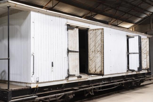 Do you smell rabbit?