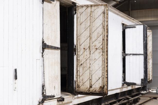 Do you smell rabbit?