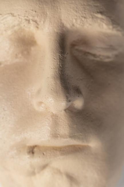 Replica Facial Plaster Cast