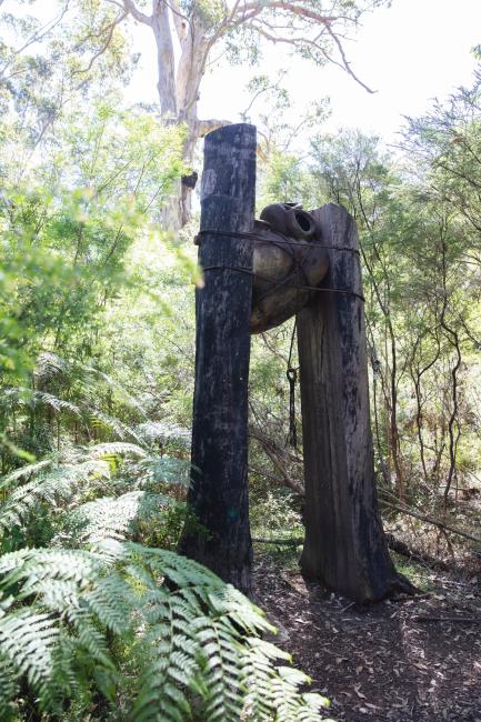 The Understory Art & Nature Trail