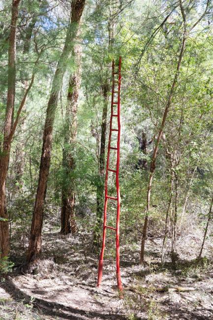The Understory Art & Nature Trail