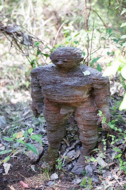 The Understory Art & Nature Trail