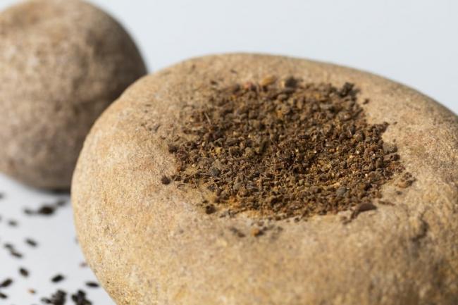 Wattle seeds