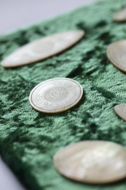 Mother of Pearl Brooches