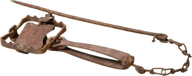 Rabbits, rabbits, rabbits