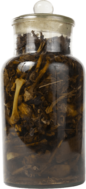 Elixir of life