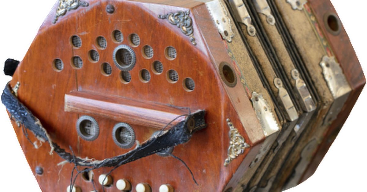 Concertina WAnderland Western Australian Museum