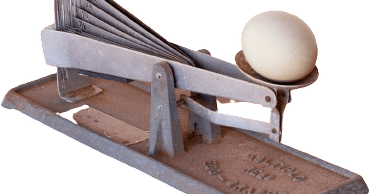 Egg grader WAnderland Western Australian Museum