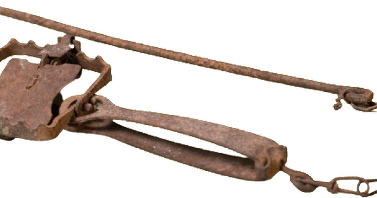 Rabbit Trap WAnderland Western Australian Museum