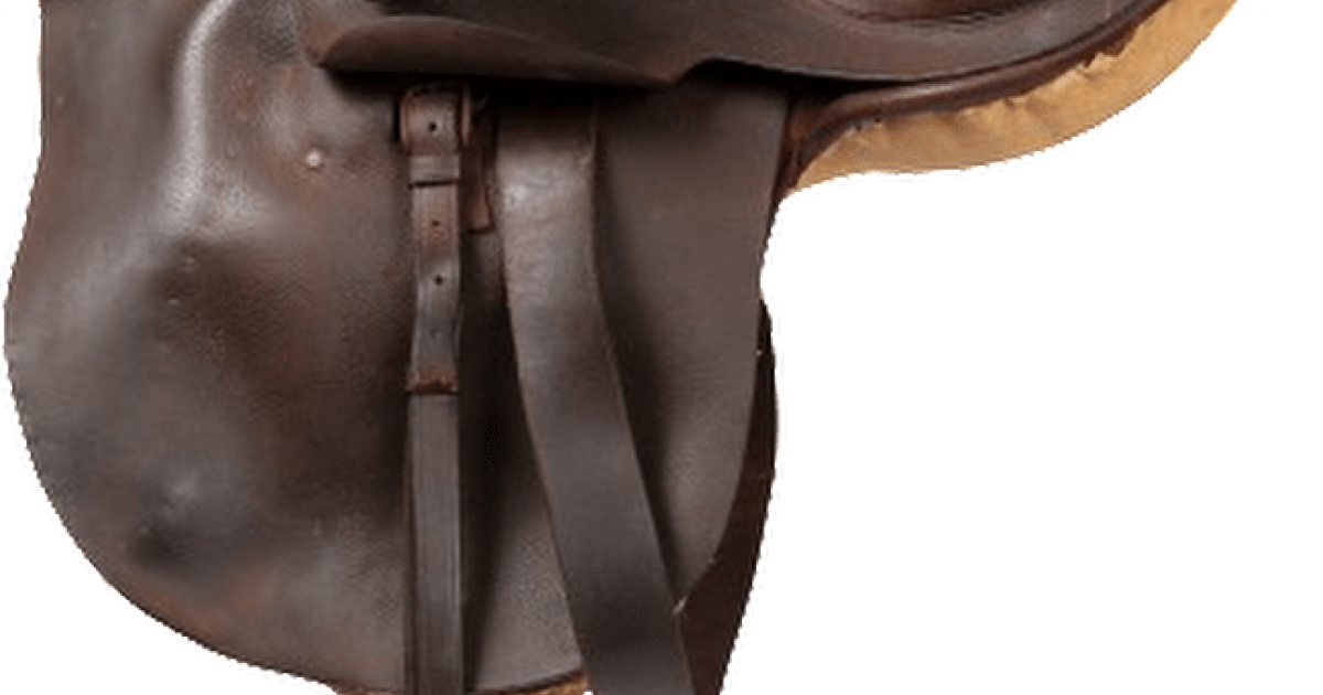 Side Saddle WAnderland Western Australian Museum