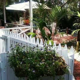 The Olive Tearooms - Swan Valley