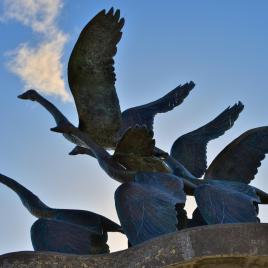 Catalpa Memorial