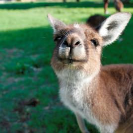 Bunbury Wildlife Park