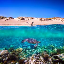 Ningaloo Reef