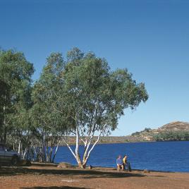 Ophthalmia Dam