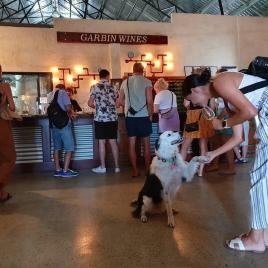Garbin Estate Wines