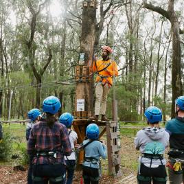 Forest Adventures South West