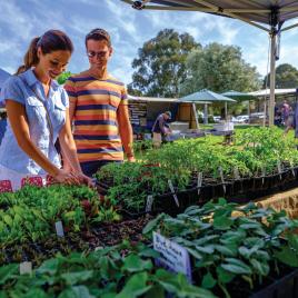 Margaret River Farmers Market