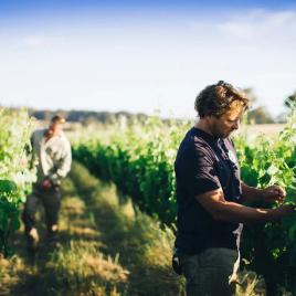 Margaret River Region Chardonnay Trail