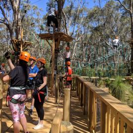 Treetops Adventure Yanchep