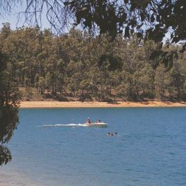 Logue Brook Dam