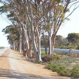 Golden Pipeline Heritage Trail