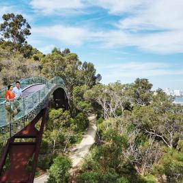 Lotterywest Federation Walkway - Kings Park