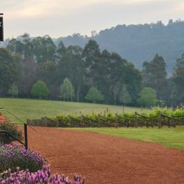 Whimwood Estate Wines Cellar Door