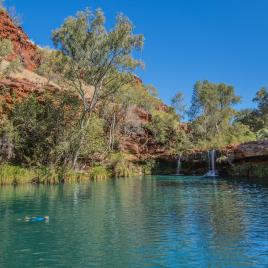 Fern Pool