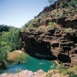 Dales Gorge Camp at Karijini National Park