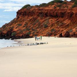Herald Bight Camp at Francois Peron National Park