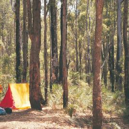 Nanga Mill Camp at Lane Poole Reserve