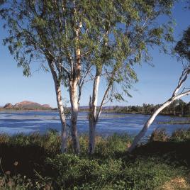 Lake Kununurra