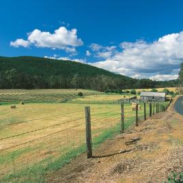 Blackwood River Tourist Drive