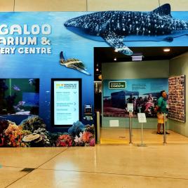 Ningaloo Aquarium & Discovery Centre