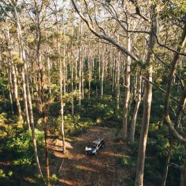 Leeuwin-Naturaliste National Park - Cowaramup