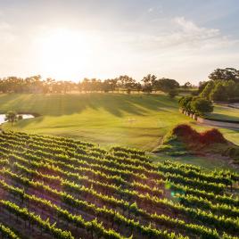 Sandalford Wines - Swan Valley
