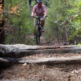 Grizzly Trail, Mount Lennard Trail