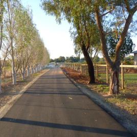 Poplars Farmstay