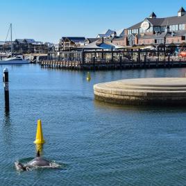 Dolphin Quay