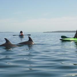 Osprey Waters - Peel Inlet Paddle Trail